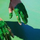 금강페인트 이미지