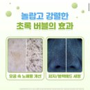홀리허브 | [올리브영 모공템 추천] 피캄 홀리바질 버블마스크 솔직 후기 (피지·모공 관리)