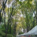 유치환 문학비 이미지