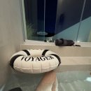 동해슈퍼 | [동해 감성 숙소 끝판왕] 호텔 벨보이 후기