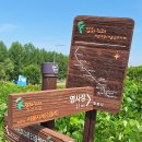 오정대공원 이미지