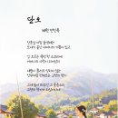 단오