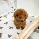 연수동 610-4 이미지