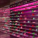 성수퍼피 이미지