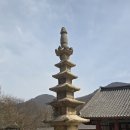 서천 영수암 목조보살좌상 | [전북] 2026, 봄꽃여행 … 3. 고창 선운사 - ③ 선운사