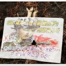 웰빙산약초건강원