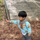 동성제일유치원 이미지