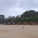 이일레3 Daum카페