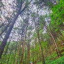 원주굽이길 16코스 매지순환둘레길 | 원주 매지 순환 둘레길, 원주굽이길 16코스, 원주 소풍길