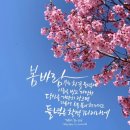 (43) 50대 이상이 많이 들은 음악(네이버 세대공감 뮤직) - 2024. 3. 21 이미지