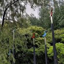 판교원로 이미지