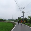 느린꼬부랑길 이미지