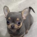 광고기획팀