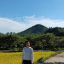 도토리공인중개사사무소 이미지