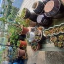 용호보건진료소 이미지