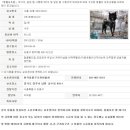 한국동물구조관리협회 이미지