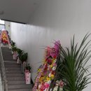 날씨 걱정 끝! GTR서정파크골프 스크린 드디어 오픈 (실내 파크골프장 후기)