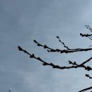 들꽃여울캠핑장 | 서울 근교 계곡이 있는 유명산 들꽃여울캠핑장