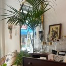 리엔하우스 이미지