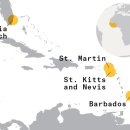 CW-2176-01 이미지