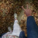 세교동 사거리 이미지