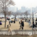 한강공원 이미지
