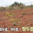 맛땅