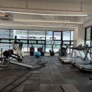 헐크복싱 이미지