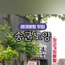 송군노양 이미지