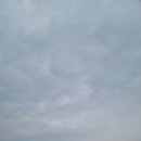 영통동 1030-4~영통동 1014-3 | E.U _ Day 4