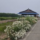 서해랑길 52코스 김제 *심포항~새창이다리*군산시 (24.05.25) 이미지