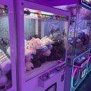 뽀꾸팡 뽑기# 네이버블로그