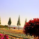 통양사랑테마공원 이미지