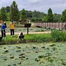 우포따오기 사진전 이미지