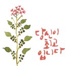 헤렌공인중개사사무소 이미지