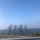 홍익펜션 이미지