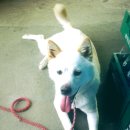 광장동물병원 이미지