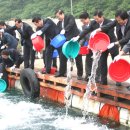 바다목장 이미지