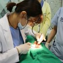 유디구로치과의원 이미지