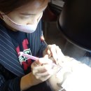 솔루션케이 이미지