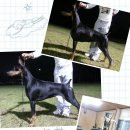 비트켄넬 이미지