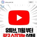 유튜브 11월 광고스킵 기능 삭제!! 이미지