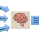리투퍼 운동센터 이미지