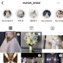 W. 대구 플래너, 워킹비교 모리아, 소유드블랑, 로렌스 뉴욕 드레스투어 후기