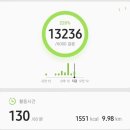 코나헤이븐 이미지