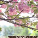 동산1리경로당 이미지