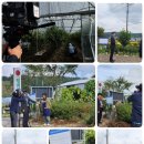 횡성 수농장 이미지