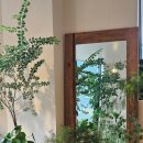 초월농장 이미지