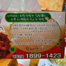 고창복낙지세상 - 광명시 범안로 893 | 봉천역 맛집 고창복의낙지세상 주차가능 낙지덮밥 해물파전