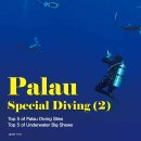 Palau Special Diving - 팔라우 스페셜 다이빙 이미지
